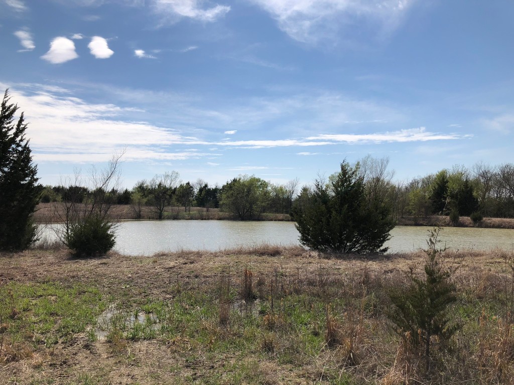 TBD County Rd 627 , Blue Ridge, TX, 75424 | 20032177 | Realty Texas LLC