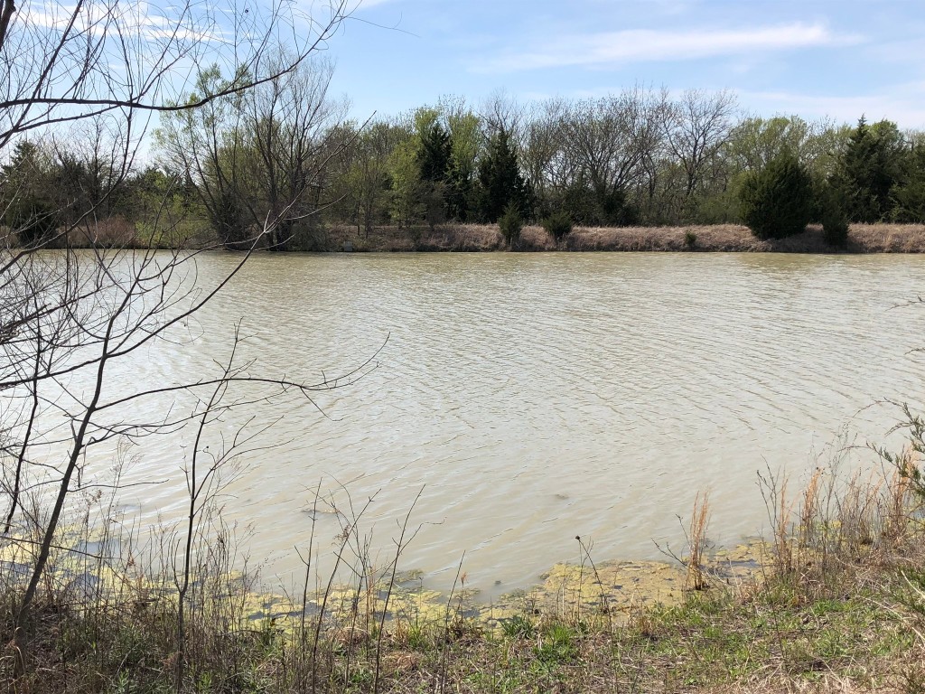 TBD County Rd 627 , Blue Ridge, TX, 75424 | 20032177 | Realty Texas LLC