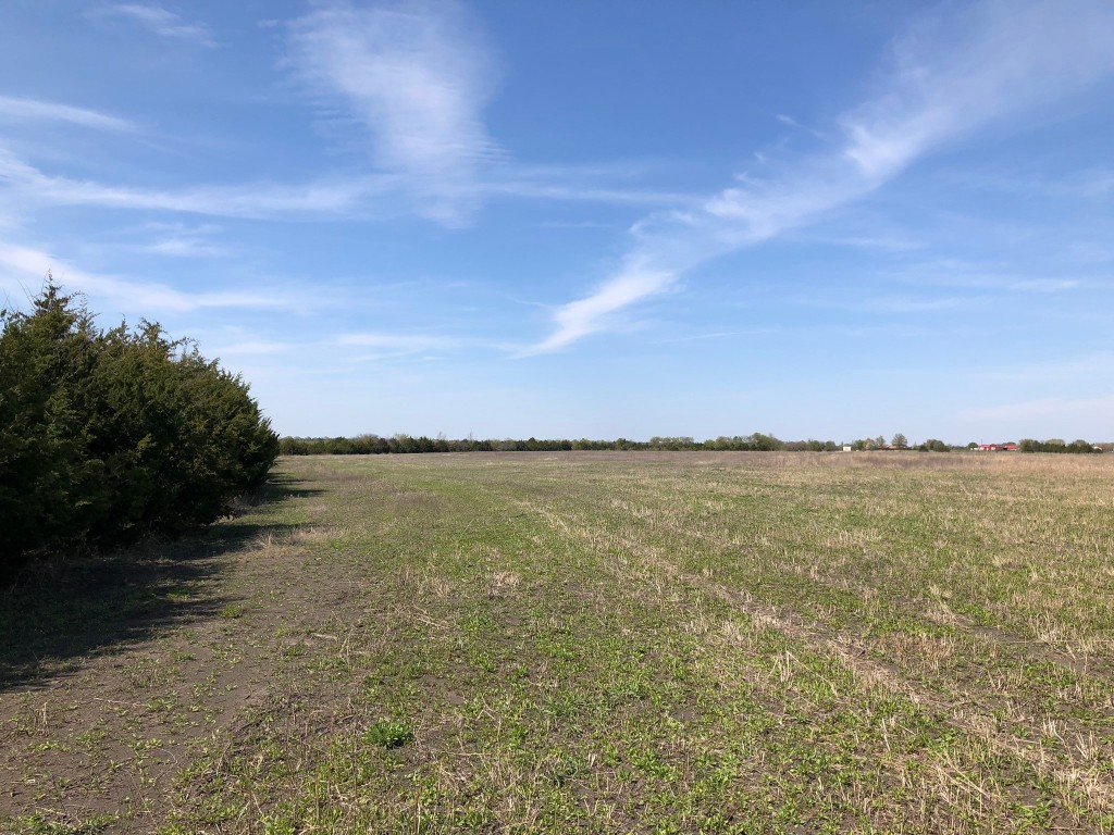 TBD County Rd 627 , Blue Ridge, TX, 75424 | 20032177 | Realty Texas LLC