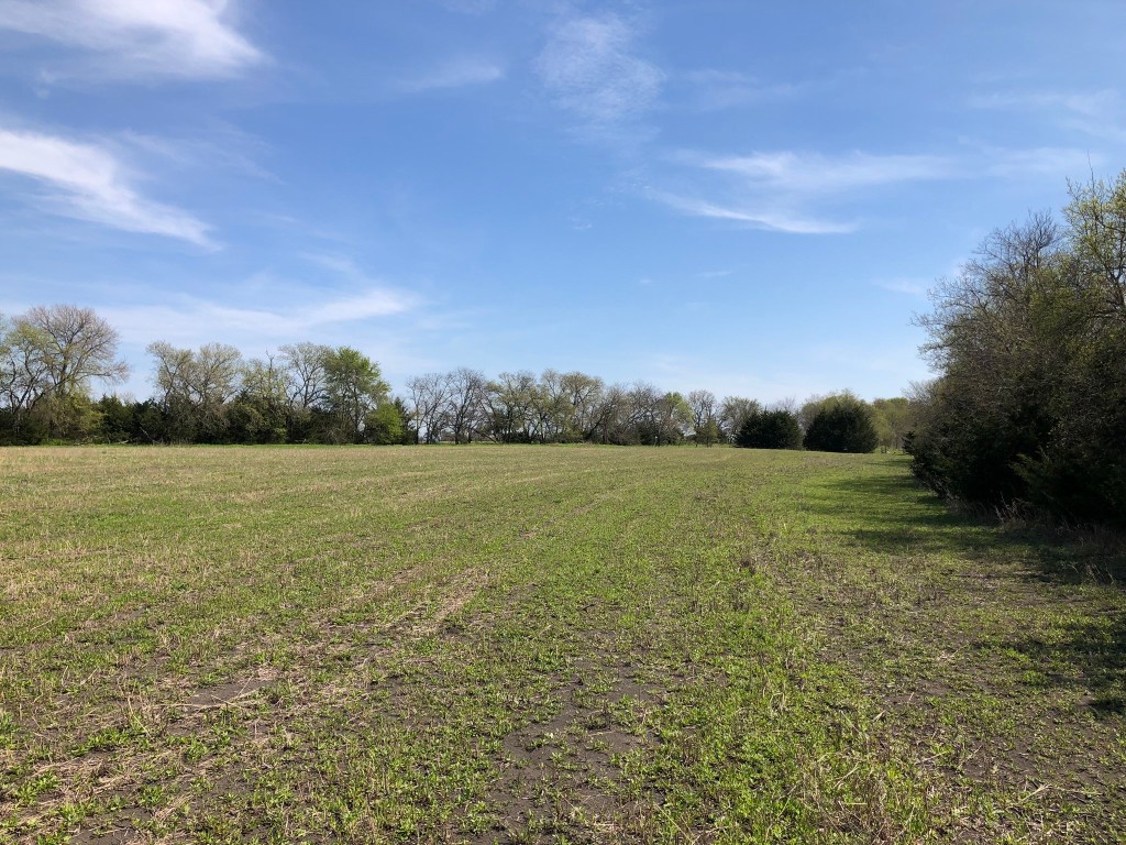 TBD County Rd 627 , Blue Ridge, TX, 75424 | 20032177 | Realty Texas LLC