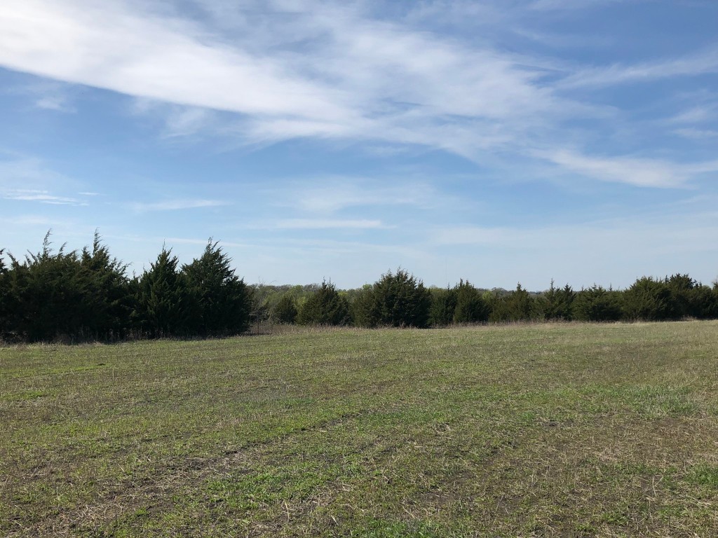 TBD County Rd 627 , Blue Ridge, TX, 75424 | 20032177 | Realty Texas LLC