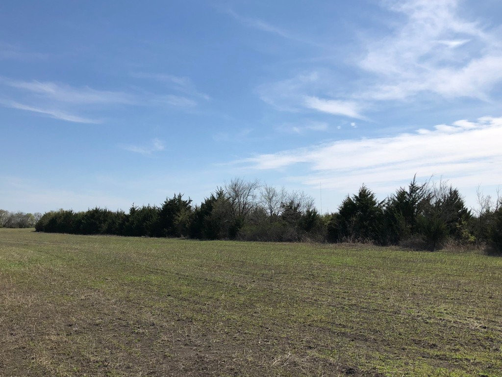 TBD County Rd 627 , Blue Ridge, TX, 75424 | 20032177 | Realty Texas LLC