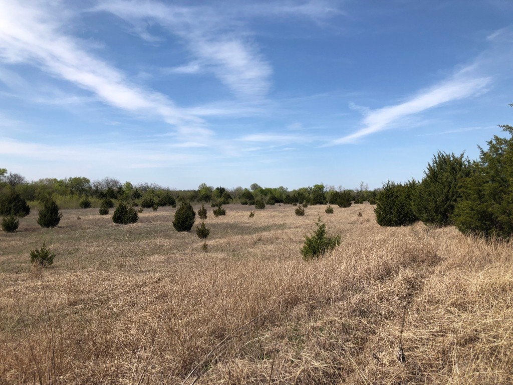 TBD County Rd 627 , Blue Ridge, TX, 75424 | 20032177 | Realty Texas LLC