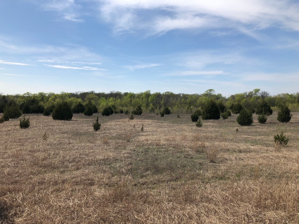 TBD County Rd 627 , Blue Ridge, TX, 75424 | 20032177 | Realty Texas LLC