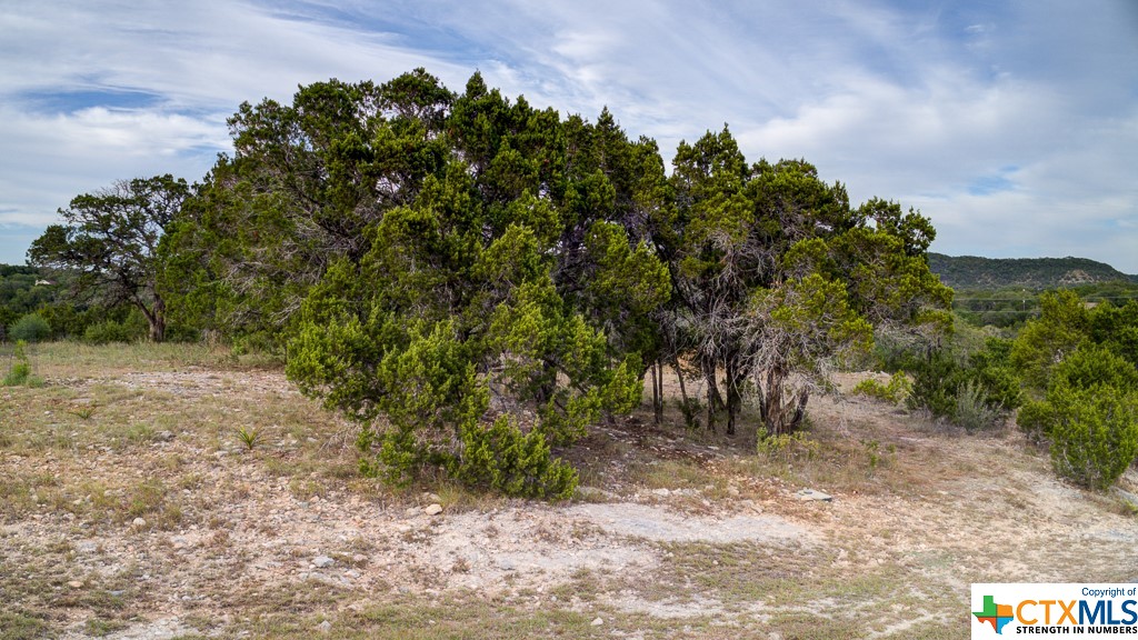 645 Toye , Canyon Lake, TX, 78133 | 468443 | Realty Texas LLC