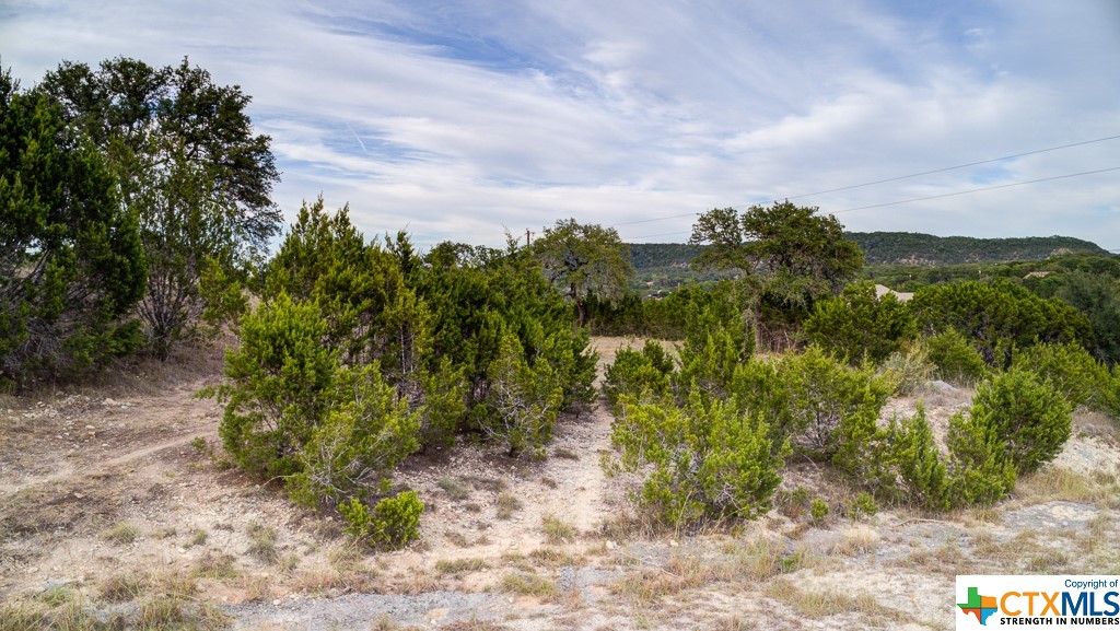 645 Toye , Canyon Lake, TX, 78133 | 468443 | Realty Texas LLC