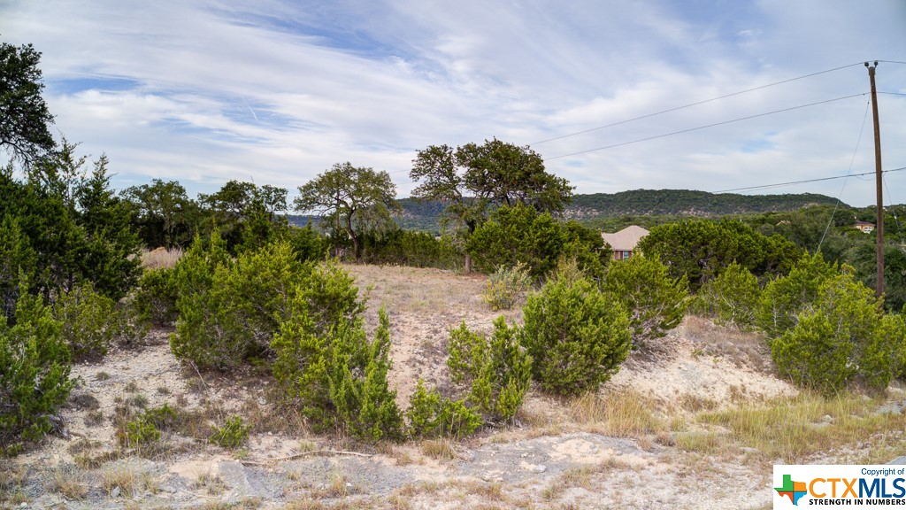 645 Toye , Canyon Lake, TX, 78133 | 468443 | Realty Texas LLC
