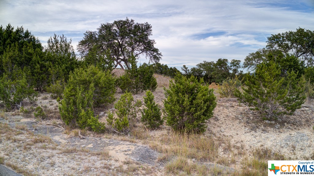 645 Toye , Canyon Lake, TX, 78133 | 468443 | Realty Texas LLC