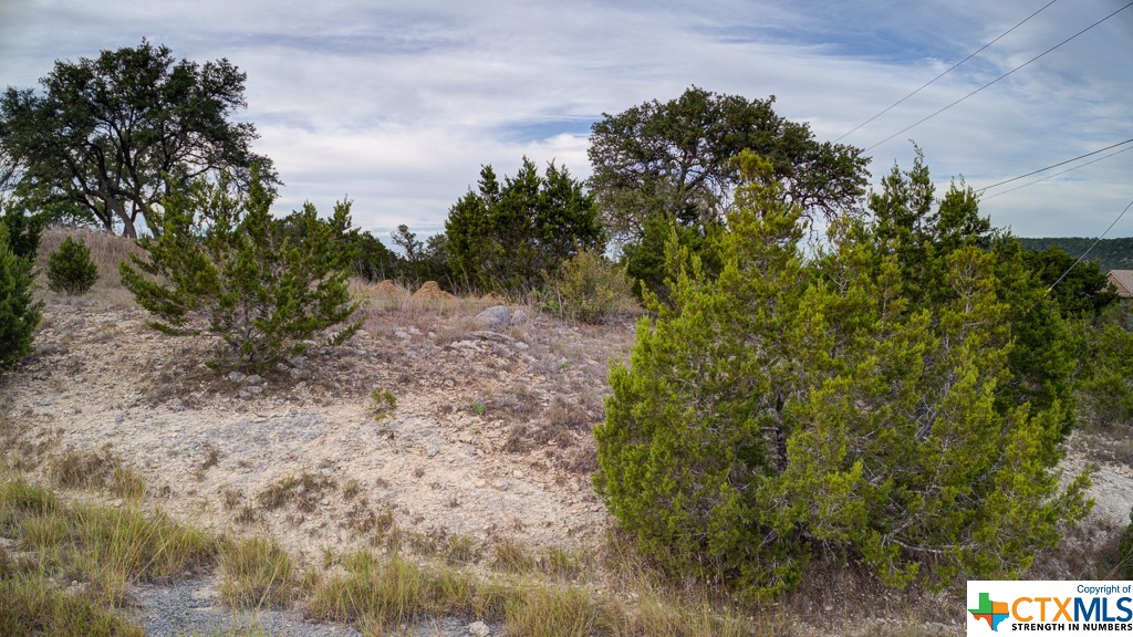 645 Toye , Canyon Lake, TX, 78133 | 468443 | Realty Texas LLC