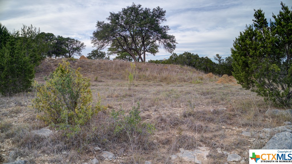 645 Toye , Canyon Lake, TX, 78133 | 468443 | Realty Texas LLC