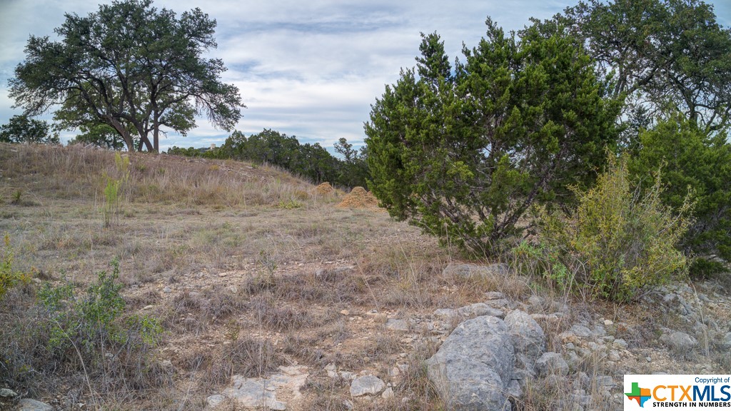 645 Toye , Canyon Lake, TX, 78133 | 468443 | Realty Texas LLC