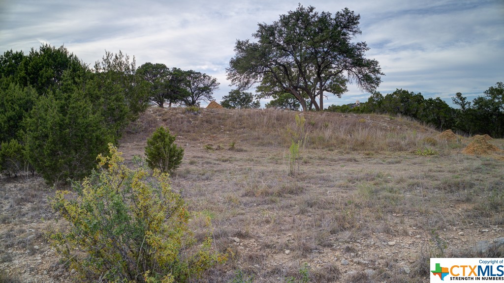 645 Toye , Canyon Lake, TX, 78133 | 468443 | Realty Texas LLC