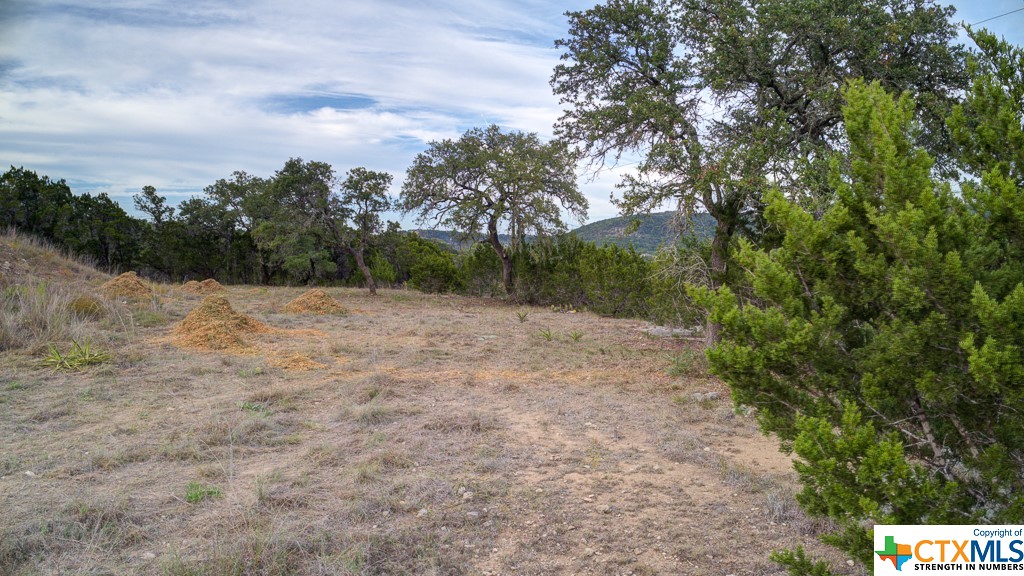 645 Toye , Canyon Lake, TX, 78133 | 468443 | Realty Texas LLC