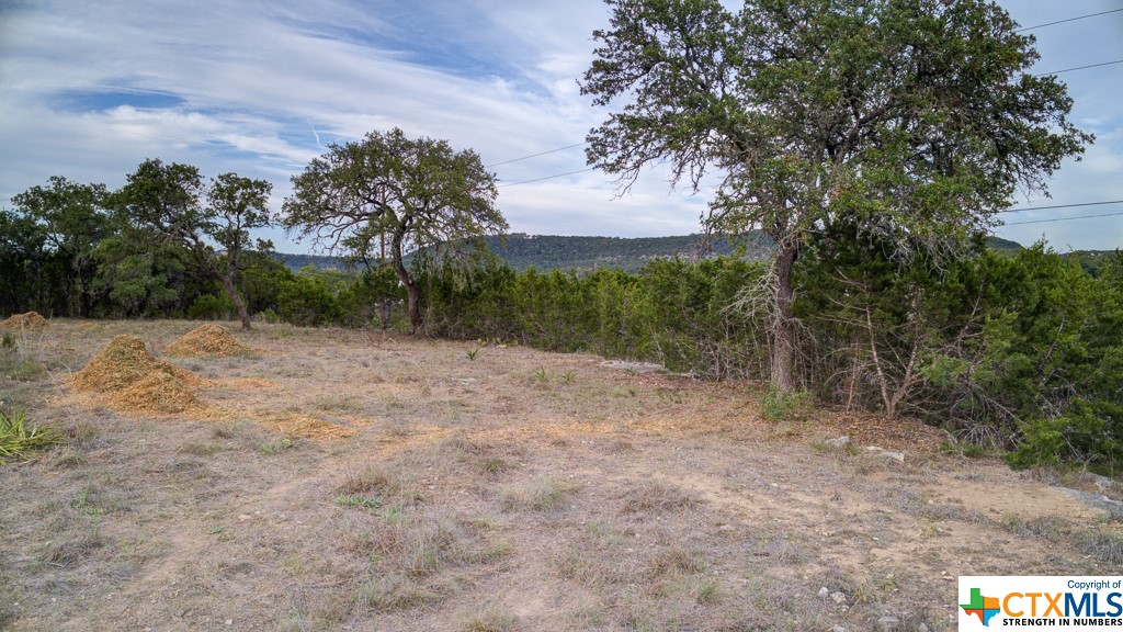 645 Toye , Canyon Lake, TX, 78133 | 468443 | Realty Texas LLC
