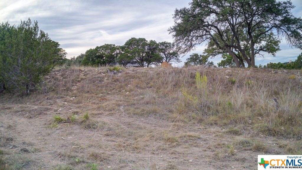 645 Toye , Canyon Lake, TX, 78133 | 468443 | Realty Texas LLC