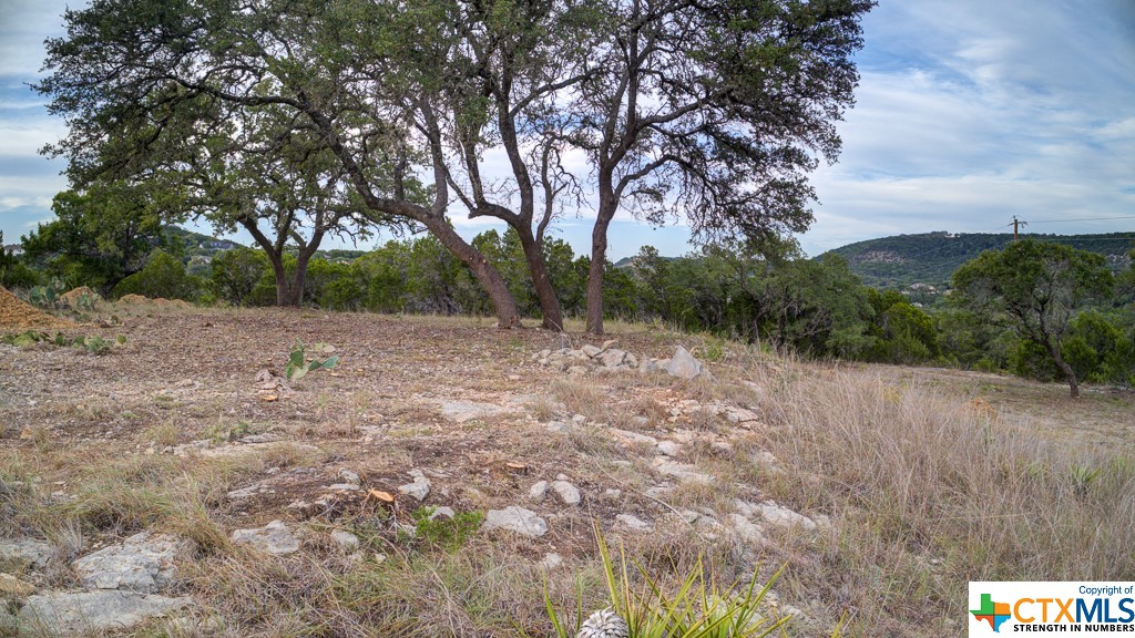 645 Toye , Canyon Lake, TX, 78133 | 468443 | Realty Texas LLC