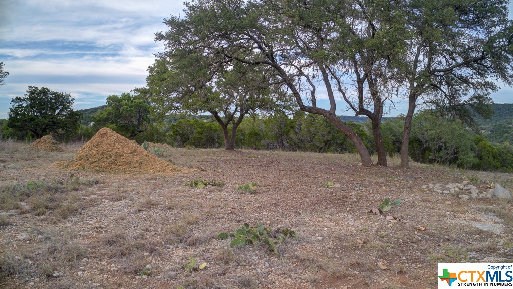 645 Toye , Canyon Lake, TX, 78133 | 468443 | Realty Texas LLC