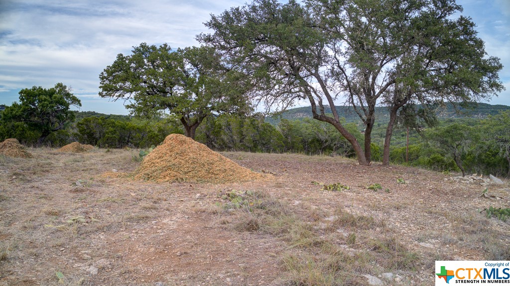 645 Toye , Canyon Lake, TX, 78133 | 468443 | Realty Texas LLC