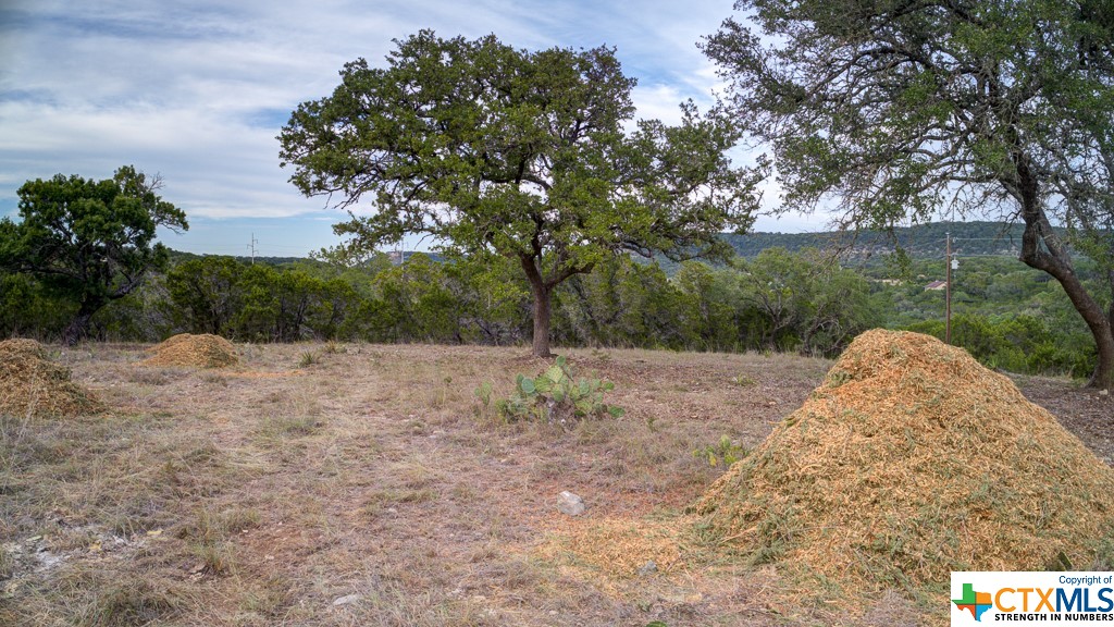 645 Toye , Canyon Lake, TX, 78133 | 468443 | Realty Texas LLC