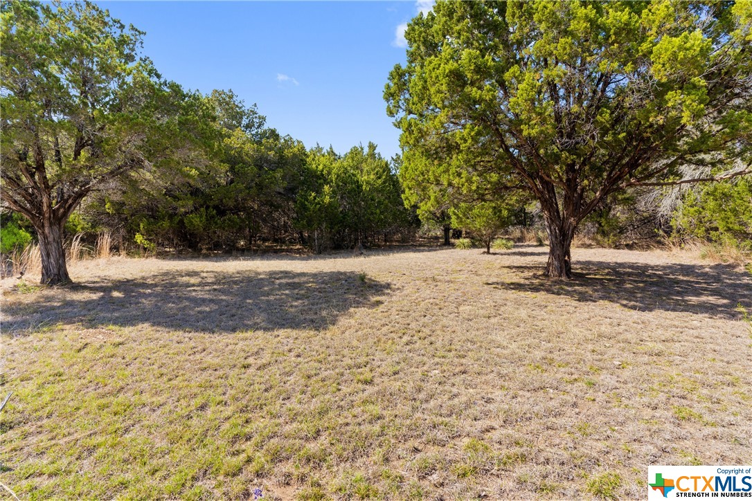 112 Ridge Harbor Drive , Spicewood, TX, 78669 | 466672 | Realty Texas LLC