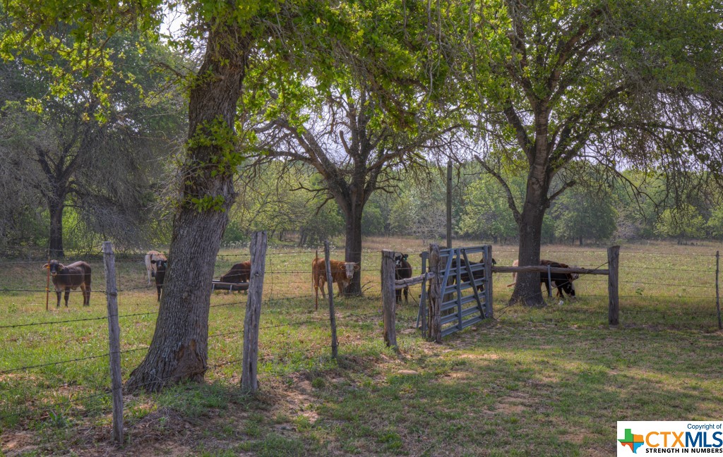 1894 C Road , Sutherland Springs, TX, 78161 | 468734 | Realty Texas LLC