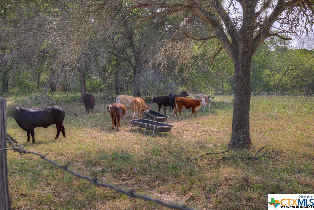 1894 C Road , Sutherland Springs, TX, 78161 | 468734 | Realty Texas LLC