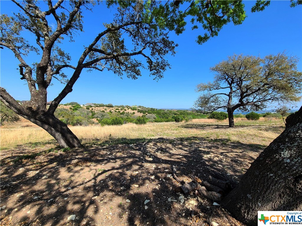 925 Mystic Parkway , Spring Branch, TX, 78070 | 468964 | Realty Texas LLC