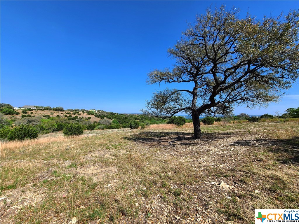 925 Mystic Parkway , Spring Branch, TX, 78070 | 468964 | Realty Texas LLC