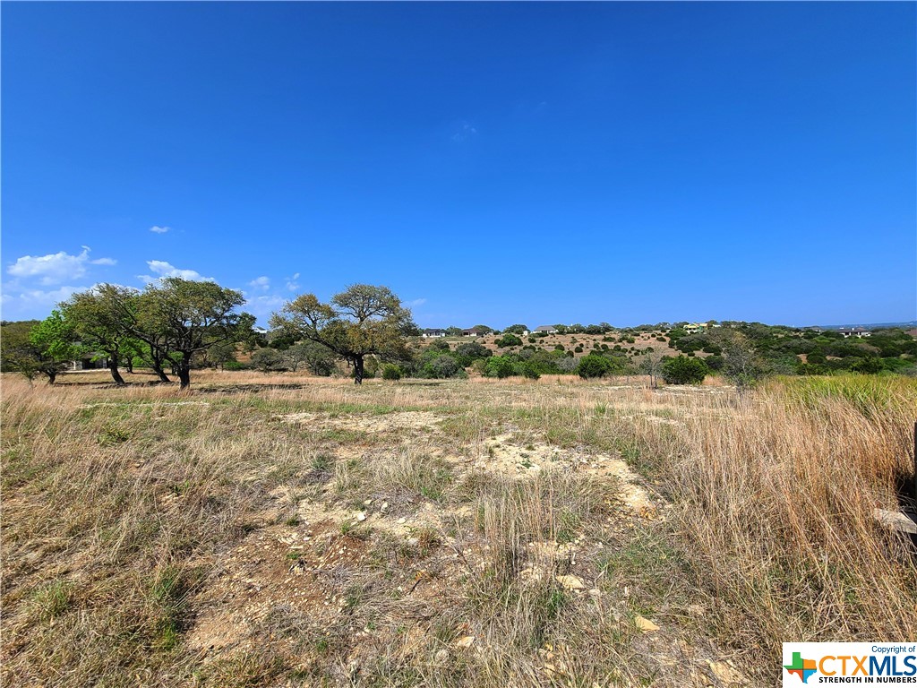 925 Mystic Parkway , Spring Branch, TX, 78070 | 468964 | Realty Texas LLC
