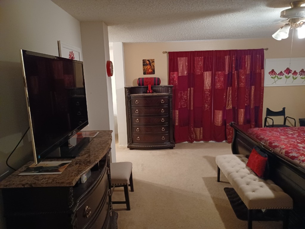 703 Bray Street , Cedar Hill, TX, 75104 | 20033973 | Realty Texas LLC