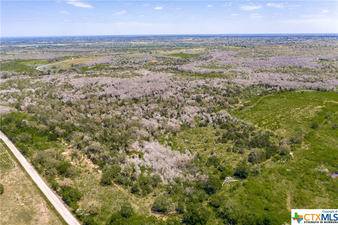 TBD Taylorsville Road , Red Rock, TX, 78662 | 468640 | Realty Texas LLC