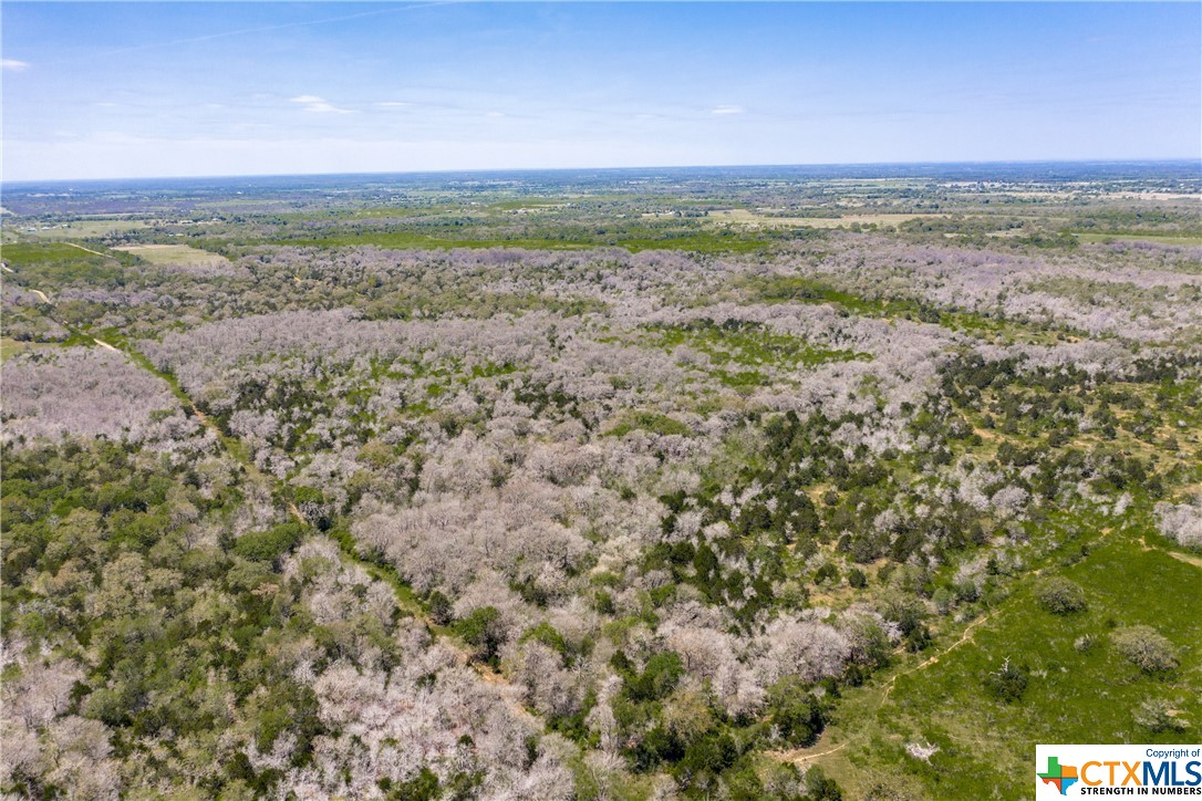 TBD Taylorsville Road , Red Rock, TX, 78662 | 468640 | Realty Texas LLC