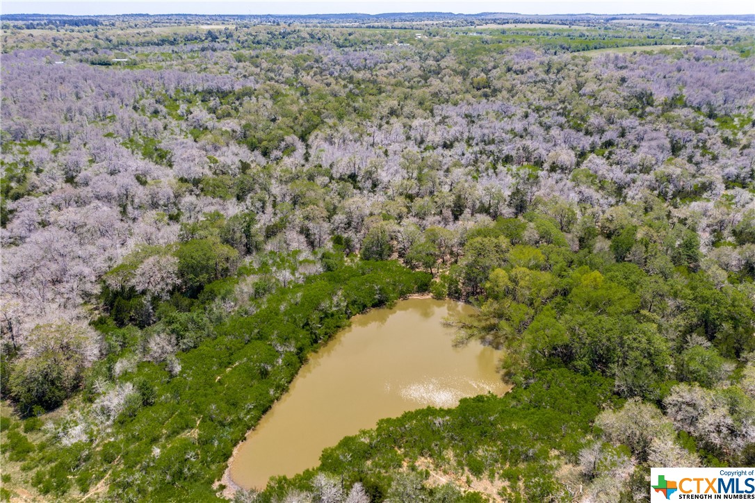 TBD Taylorsville Road , Red Rock, TX, 78662 | 468640 | Realty Texas LLC