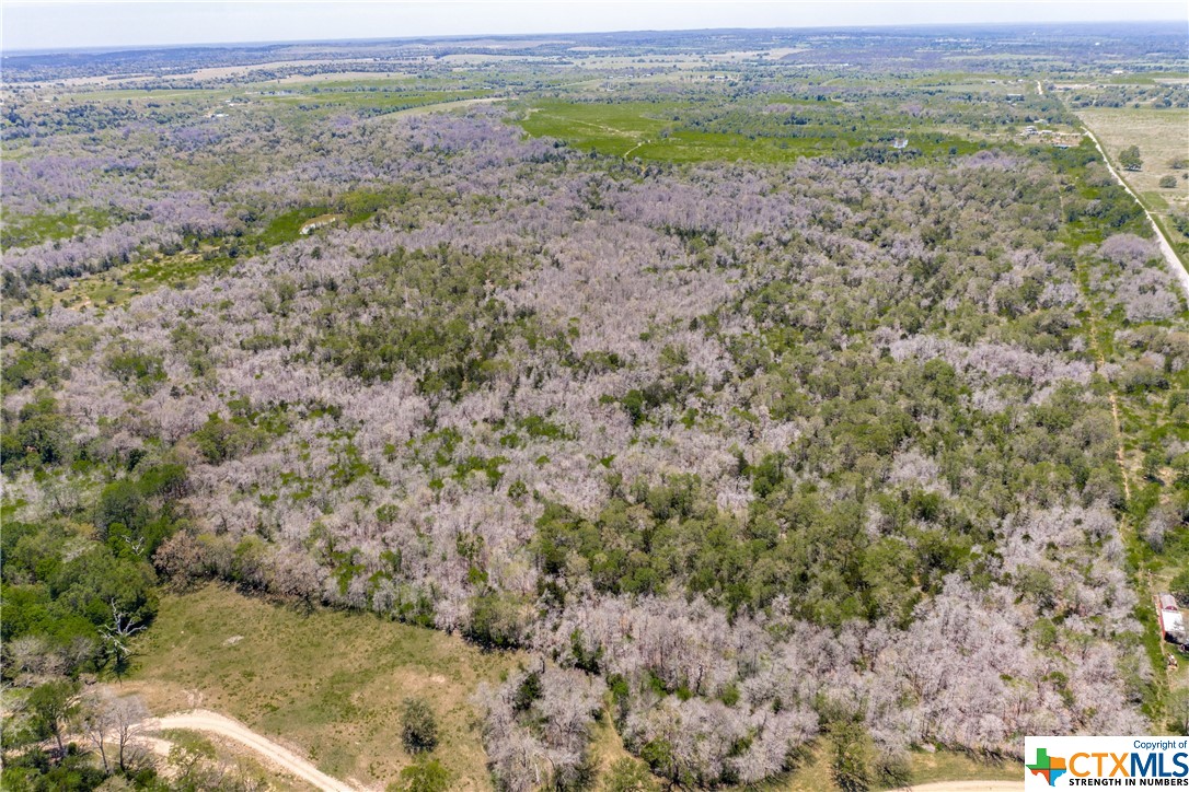 TBD Taylorsville Road , Red Rock, TX, 78662 | 468640 | Realty Texas LLC