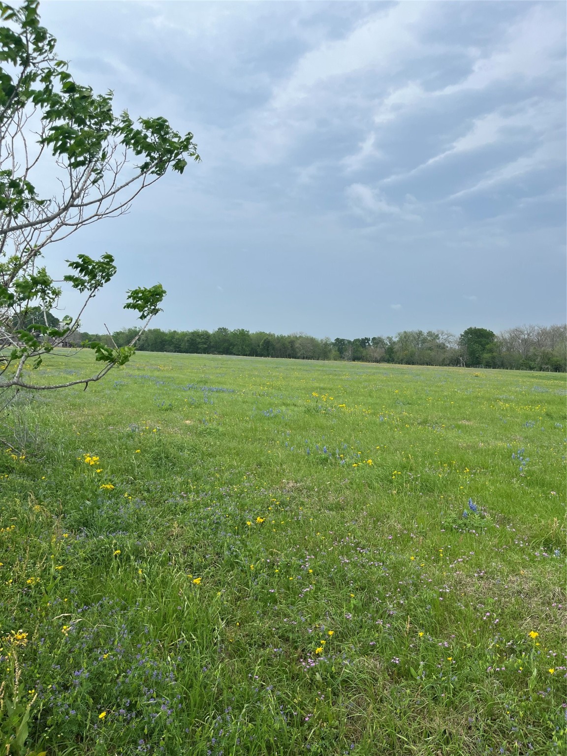 2691 Stockold Road , Sealy, TX, 77474 | 51268016 | Realty Texas LLC