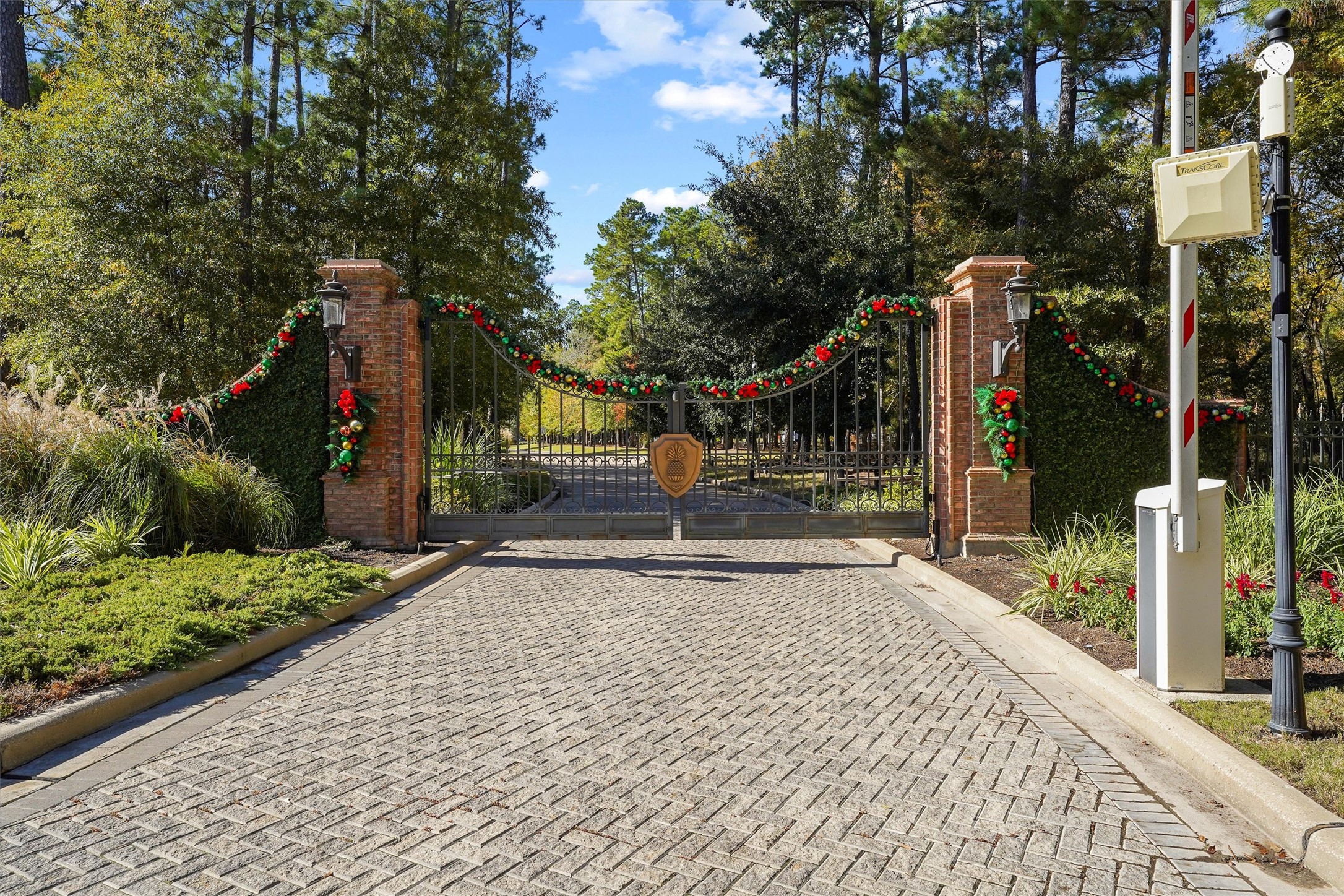 517 Grand Palisade Place , Montgomery, TX, 77316 | 6508772 | Realty Texas LLC