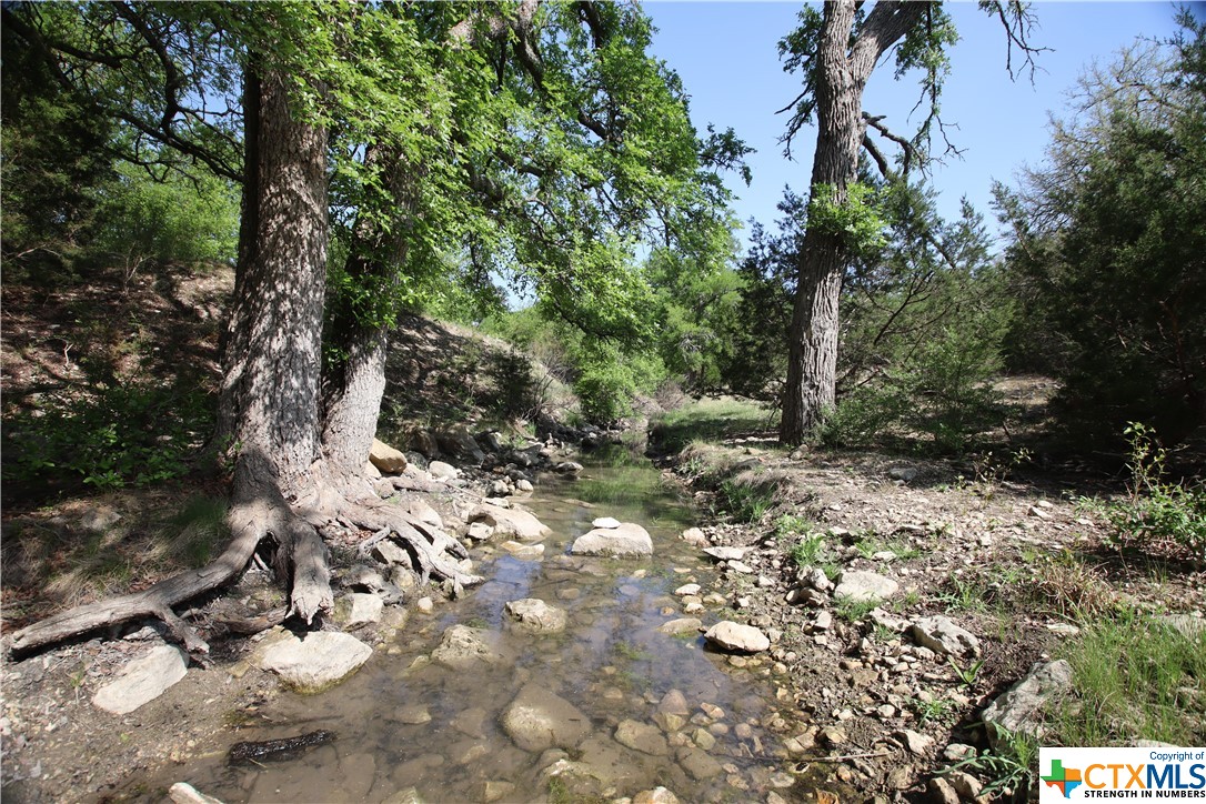 TBD FM 2414 , Evant, TX, 76525 | 469355 | Realty Texas LLC