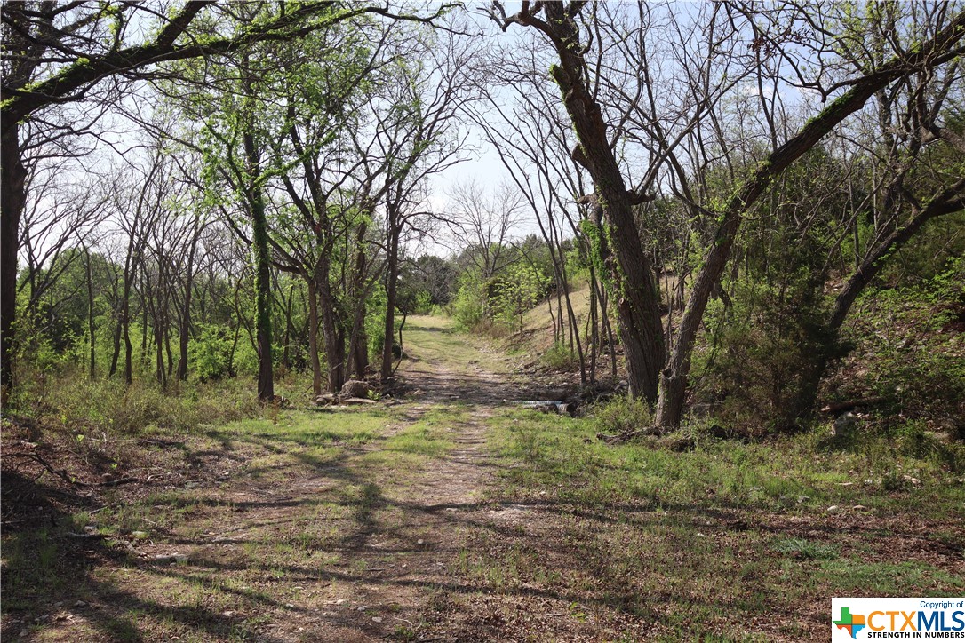 TBD FM 2414 , Evant, TX, 76525 | 469355 | Realty Texas LLC