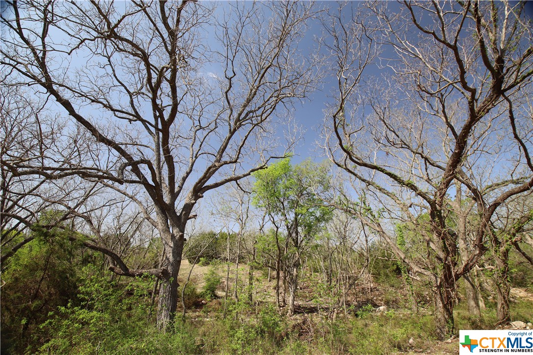 TBD FM 2414 , Evant, TX, 76525 | 469355 | Realty Texas LLC