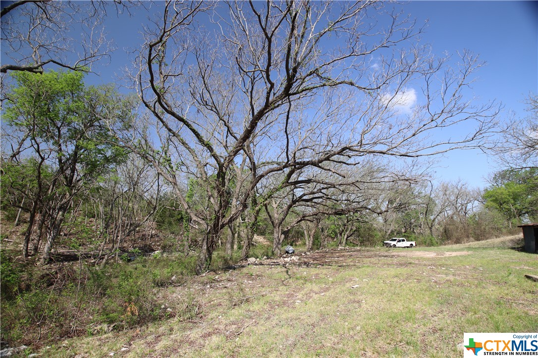 TBD FM 2414 , Evant, TX, 76525 | 469355 | Realty Texas LLC