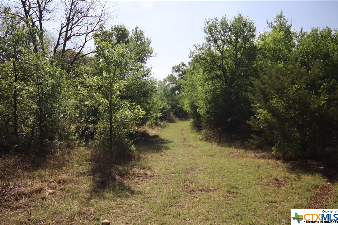 TBD FM 2414 , Evant, TX, 76525 | 469355 | Realty Texas LLC