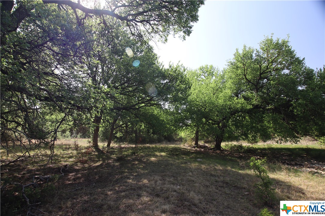 TBD FM 2414 , Evant, TX, 76525 | 469355 | Realty Texas LLC