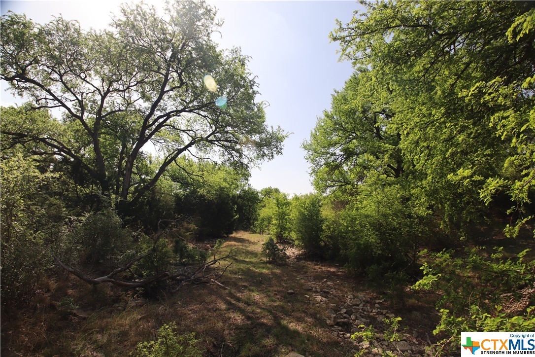 TBD FM 2414 , Evant, TX, 76525 | 469355 | Realty Texas LLC