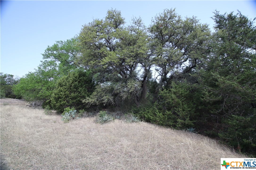 TBD FM 2414 , Evant, TX, 76525 | 469355 | Realty Texas LLC