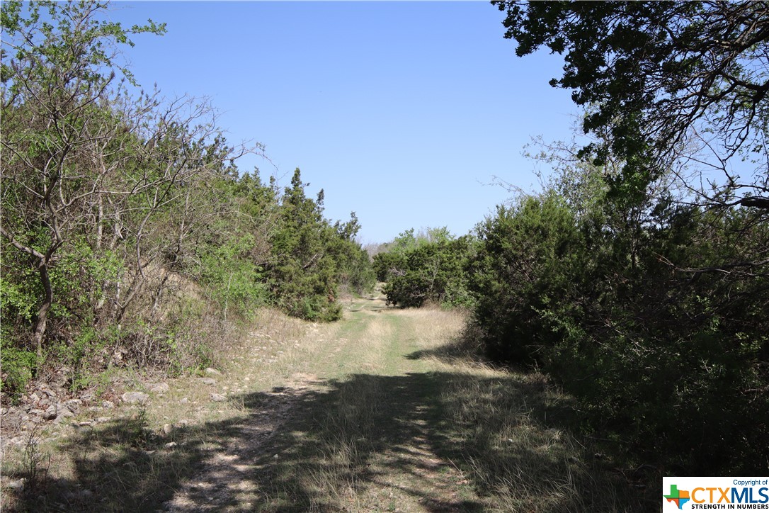 TBD FM 2414 , Evant, TX, 76525 | 469355 | Realty Texas LLC