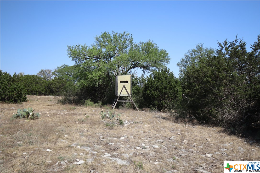 TBD FM 2414 , Evant, TX, 76525 | 469355 | Realty Texas LLC