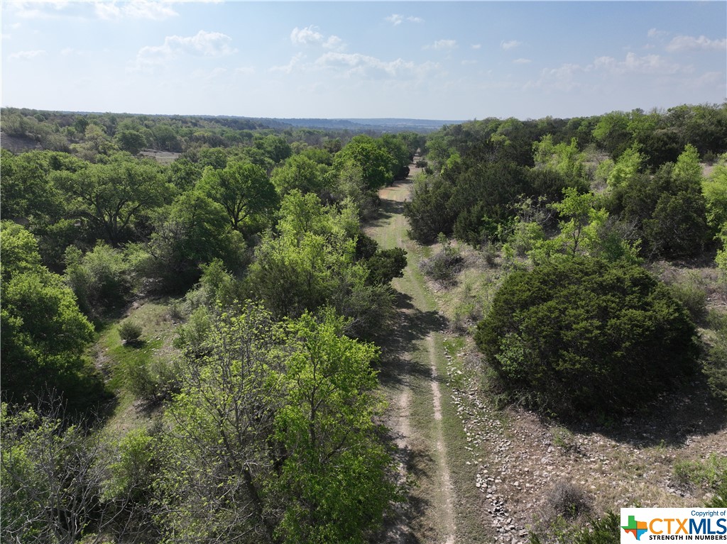 TBD FM 2414 , Evant, TX, 76525 | 469355 | Realty Texas LLC