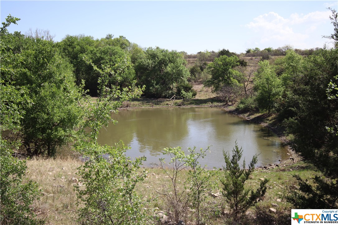 TBD FM 2414 , Evant, TX, 76525 | 469355 | Realty Texas LLC