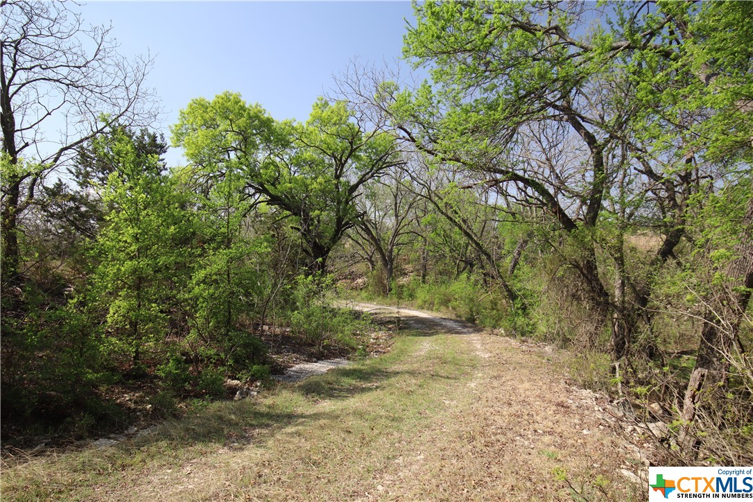 TBD FM 2414 , Evant, TX, 76525 | 469355 | Realty Texas LLC
