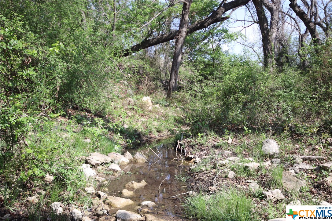 TBD FM 2414 , Evant, TX, 76525 | 469355 | Realty Texas LLC